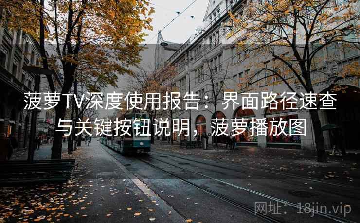 菠萝TV深度使用报告：界面路径速查与关键按钮说明，菠萝播放图