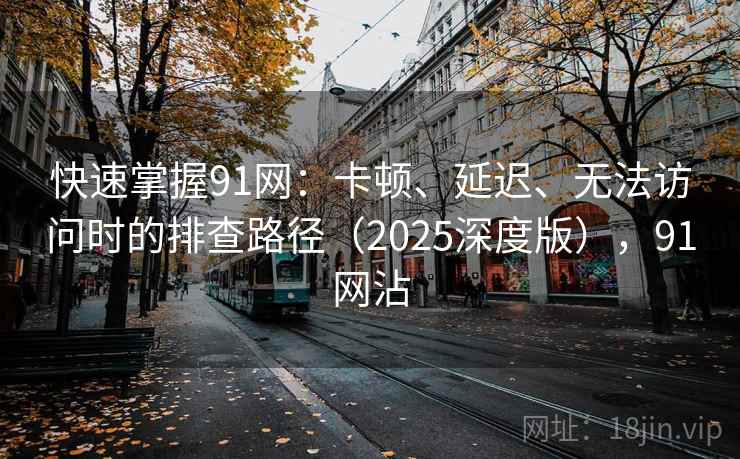 快速掌握91网：卡顿、延迟、无法访问时的排查路径（2025深度版），91网沾