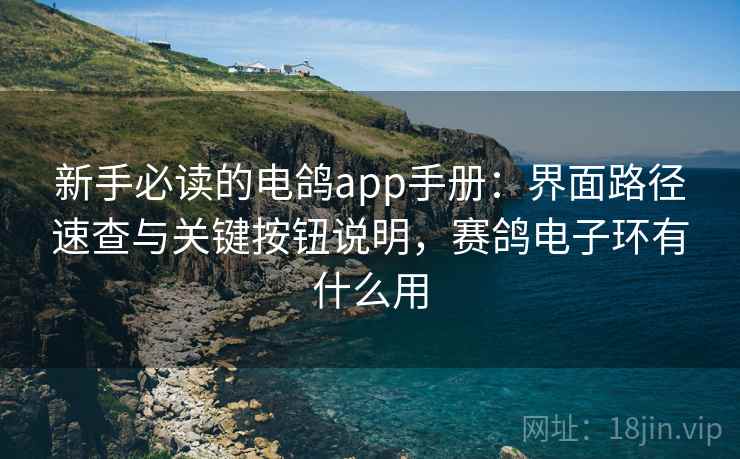 新手必读的电鸽app手册：界面路径速查与关键按钮说明，赛鸽电子环有什么用