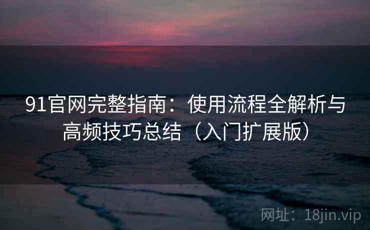 91官网完整指南：使用流程全解析与高频技巧总结（入门扩展版）