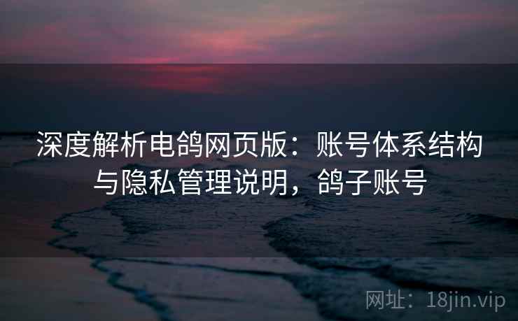 深度解析电鸽网页版：账号体系结构与隐私管理说明，鸽子账号