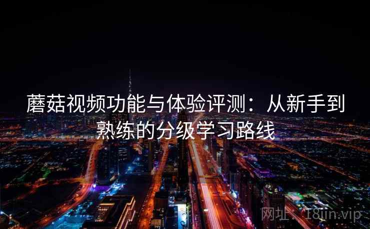 蘑菇视频功能与体验评测：从新手到熟练的分级学习路线