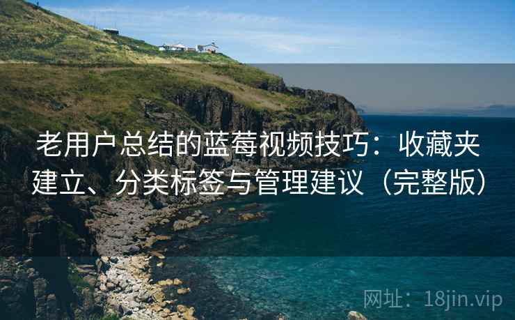 老用户总结的蓝莓视频技巧：收藏夹建立、分类标签与管理建议（完整版）