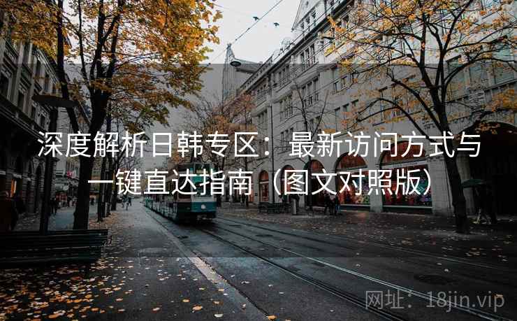 深度解析日韩专区：最新访问方式与一键直达指南（图文对照版）
