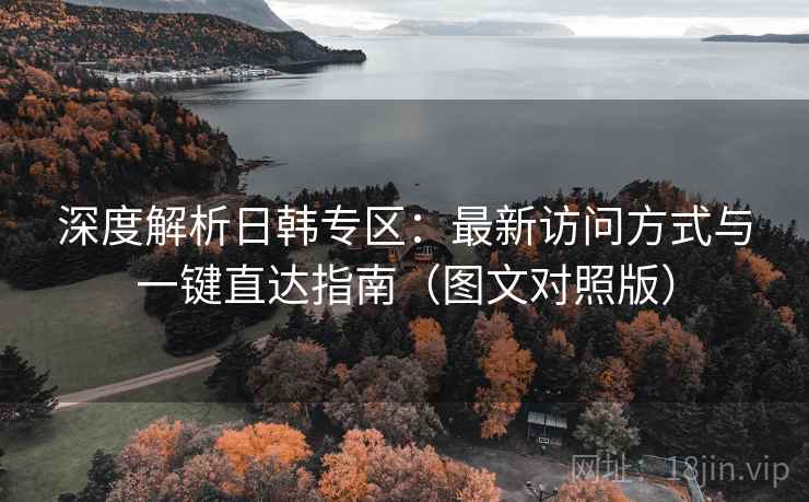 深度解析日韩专区：最新访问方式与一键直达指南（图文对照版）