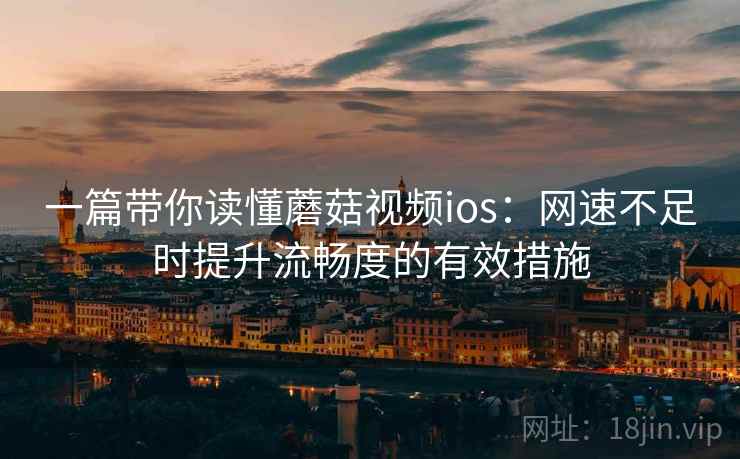 一篇带你读懂蘑菇视频ios：网速不足时提升流畅度的有效措施
