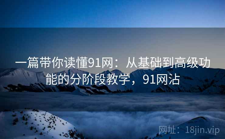 一篇带你读懂91网：从基础到高级功能的分阶段教学，91网沾