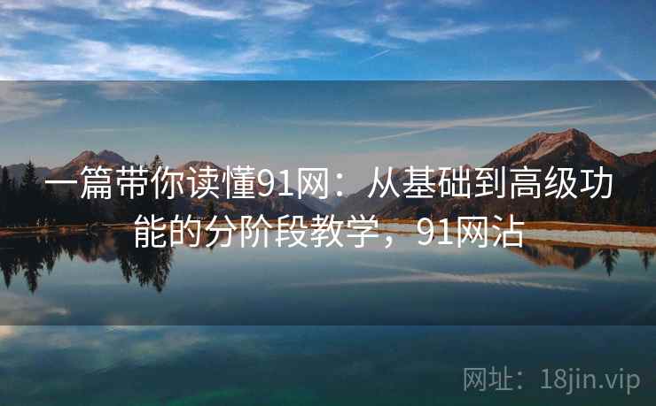 一篇带你读懂91网：从基础到高级功能的分阶段教学，91网沾