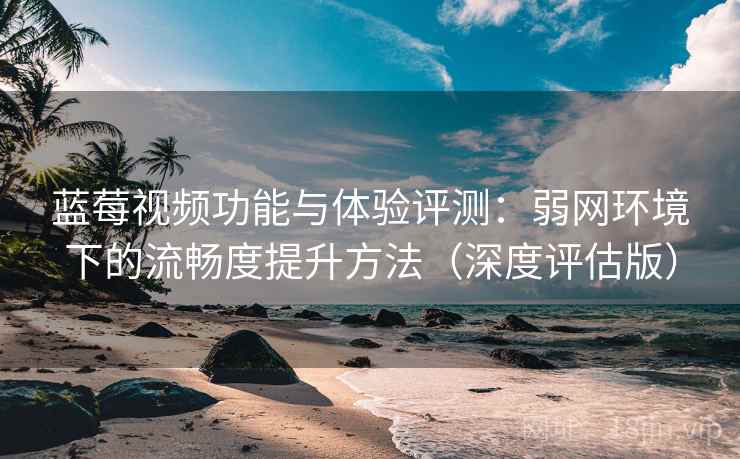 蓝莓视频功能与体验评测：弱网环境下的流畅度提升方法（深度评估版）