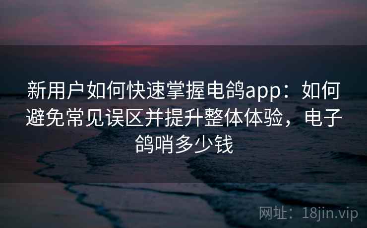 新用户如何快速掌握电鸽app：如何避免常见误区并提升整体体验，电子鸽哨多少钱