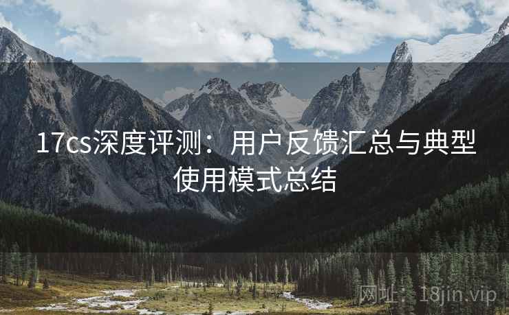 17cs深度评测：用户反馈汇总与典型使用模式总结