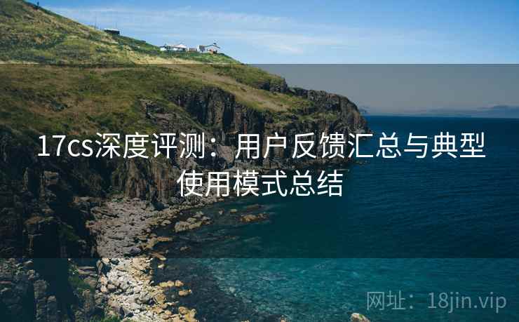 17cs深度评测：用户反馈汇总与典型使用模式总结