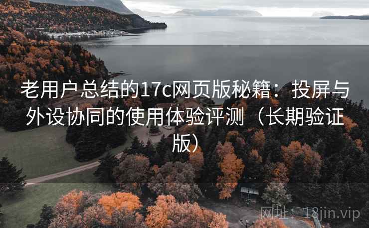 老用户总结的17c网页版秘籍：投屏与外设协同的使用体验评测（长期验证版）