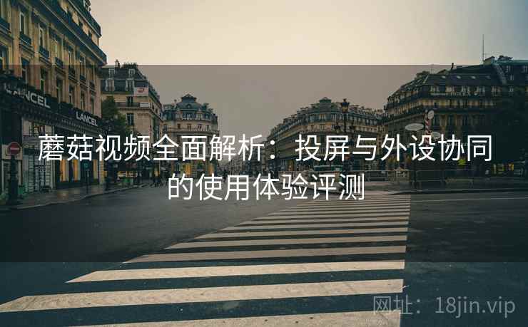 蘑菇视频全面解析：投屏与外设协同的使用体验评测