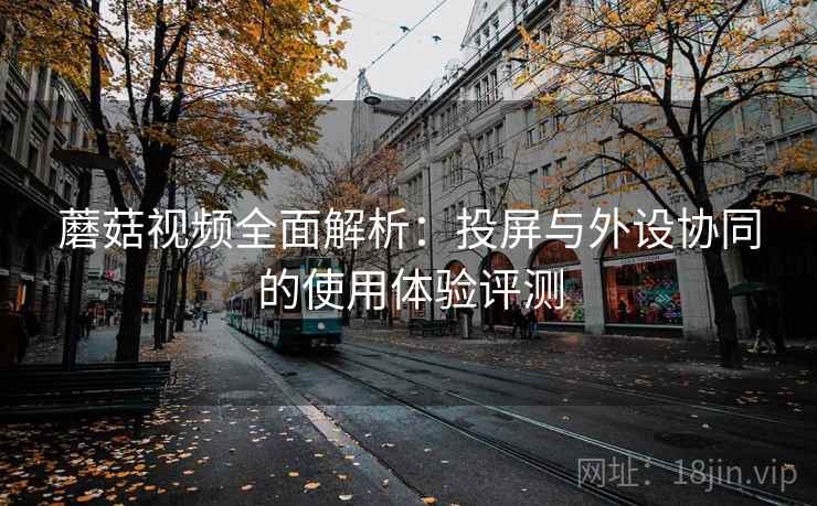 蘑菇视频全面解析：投屏与外设协同的使用体验评测