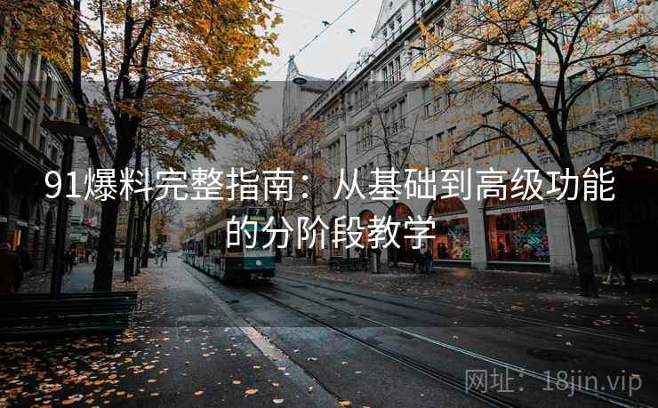 91爆料完整指南：从基础到高级功能的分阶段教学