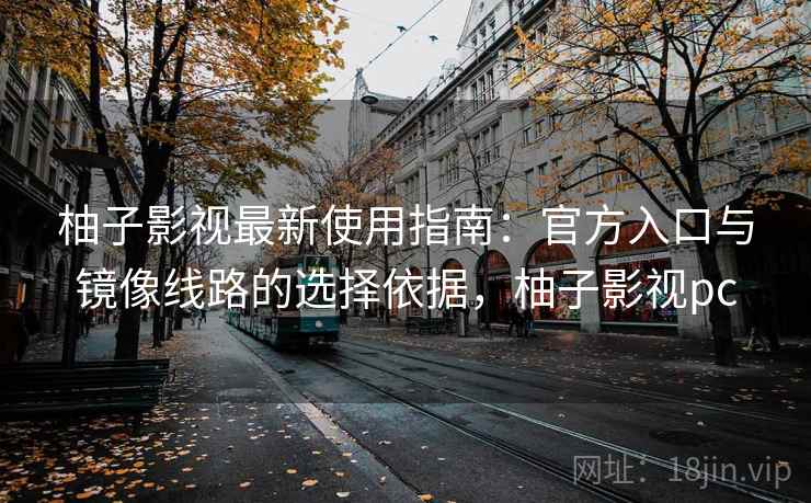 柚子影视最新使用指南：官方入口与镜像线路的选择依据，柚子影视pc