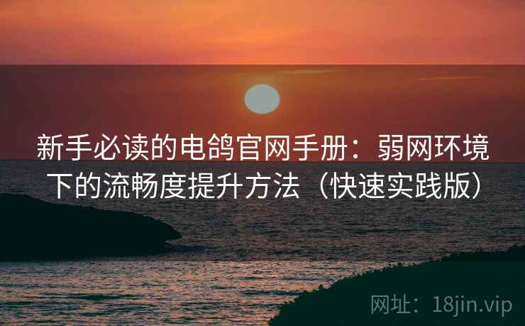 新手必读的电鸽官网手册：弱网环境下的流畅度提升方法（快速实践版）