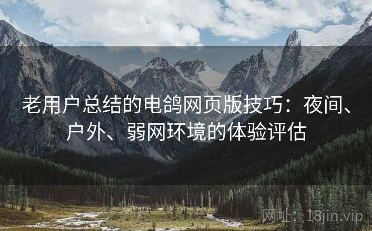 老用户总结的电鸽网页版技巧：夜间、户外、弱网环境的体验评估