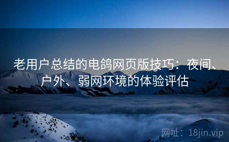老用户总结的电鸽网页版技巧:夜间、户外、弱网环境的体验评估 老用户总结的电鸽网页版技巧:夜间、户外、弱网环境的体验评估